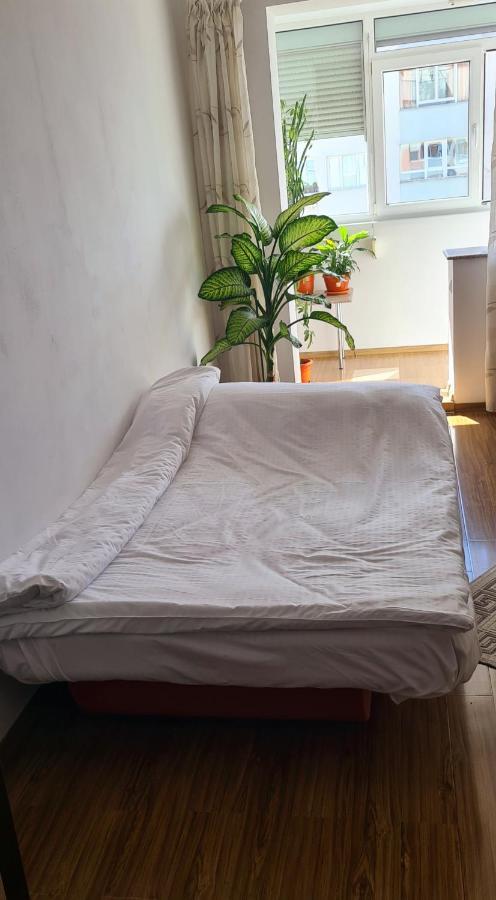 Perfect View Apartament 2 Rooms Self Check-In Bukarest Eksteriør billede